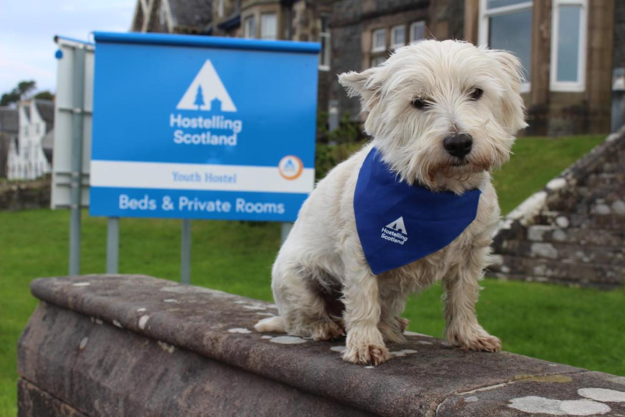 Oban Youth Hostel Zewnętrze zdjęcie The West Highland White Terrier is the official dog of the AA
